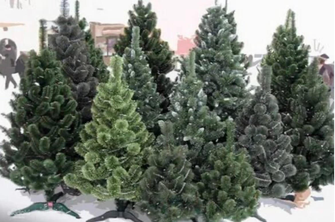 Рекомендации по выбору новогодней елки