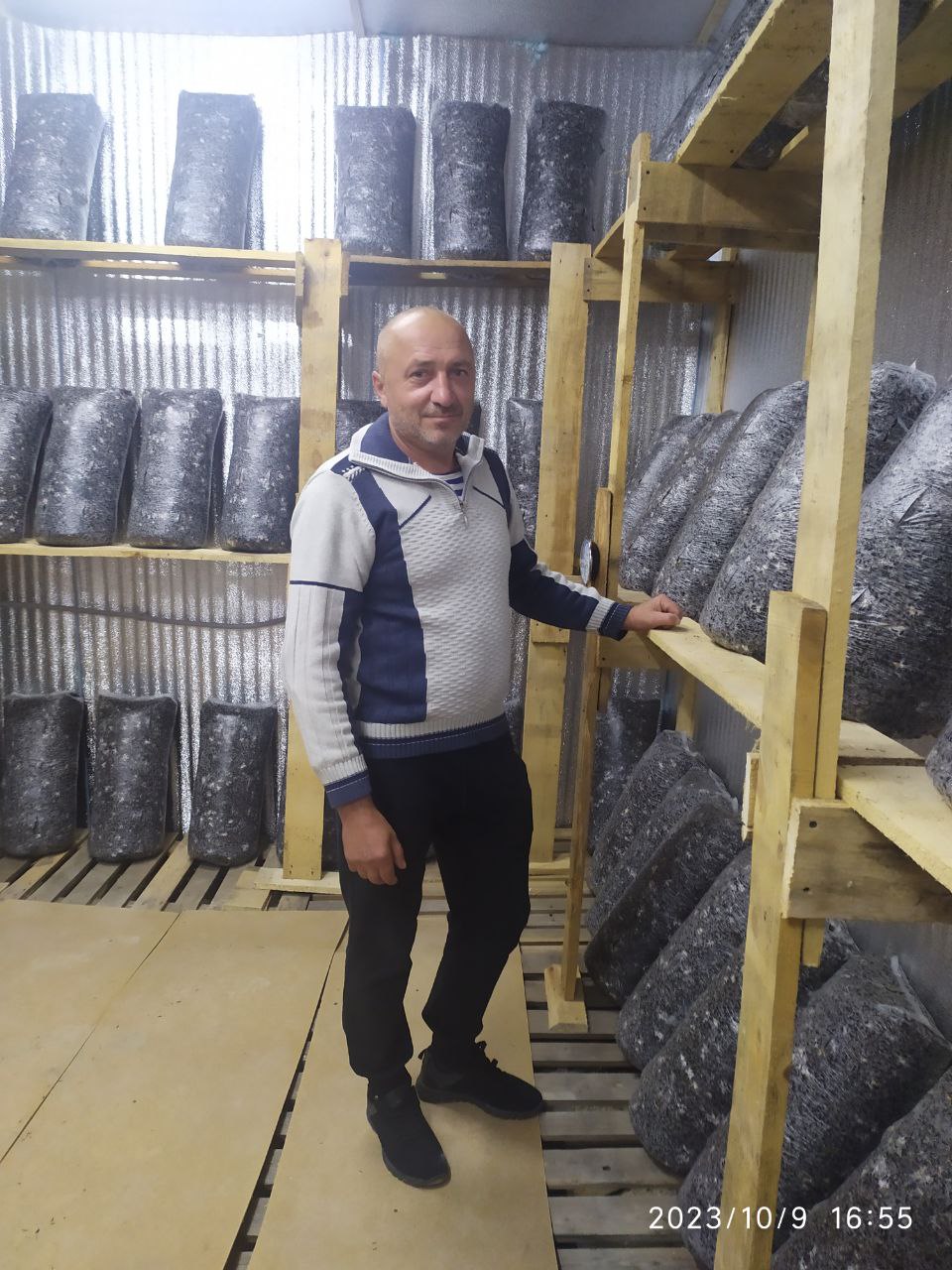 Евгений Васюков из села Вязовое запустил своё грибное хозяйство на средства соцконтракта.
