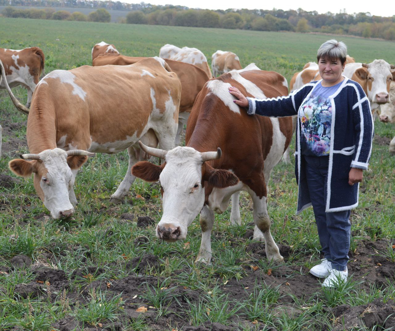 Глава КФХ из посёлка Отрадовский более 35 лет занимается животноводством, из них 15 руководит фермой.