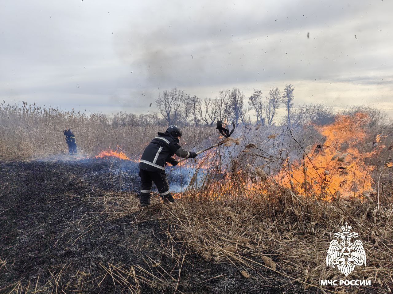 На территории региона резко увеличилось количество ландшафтных пожаров.