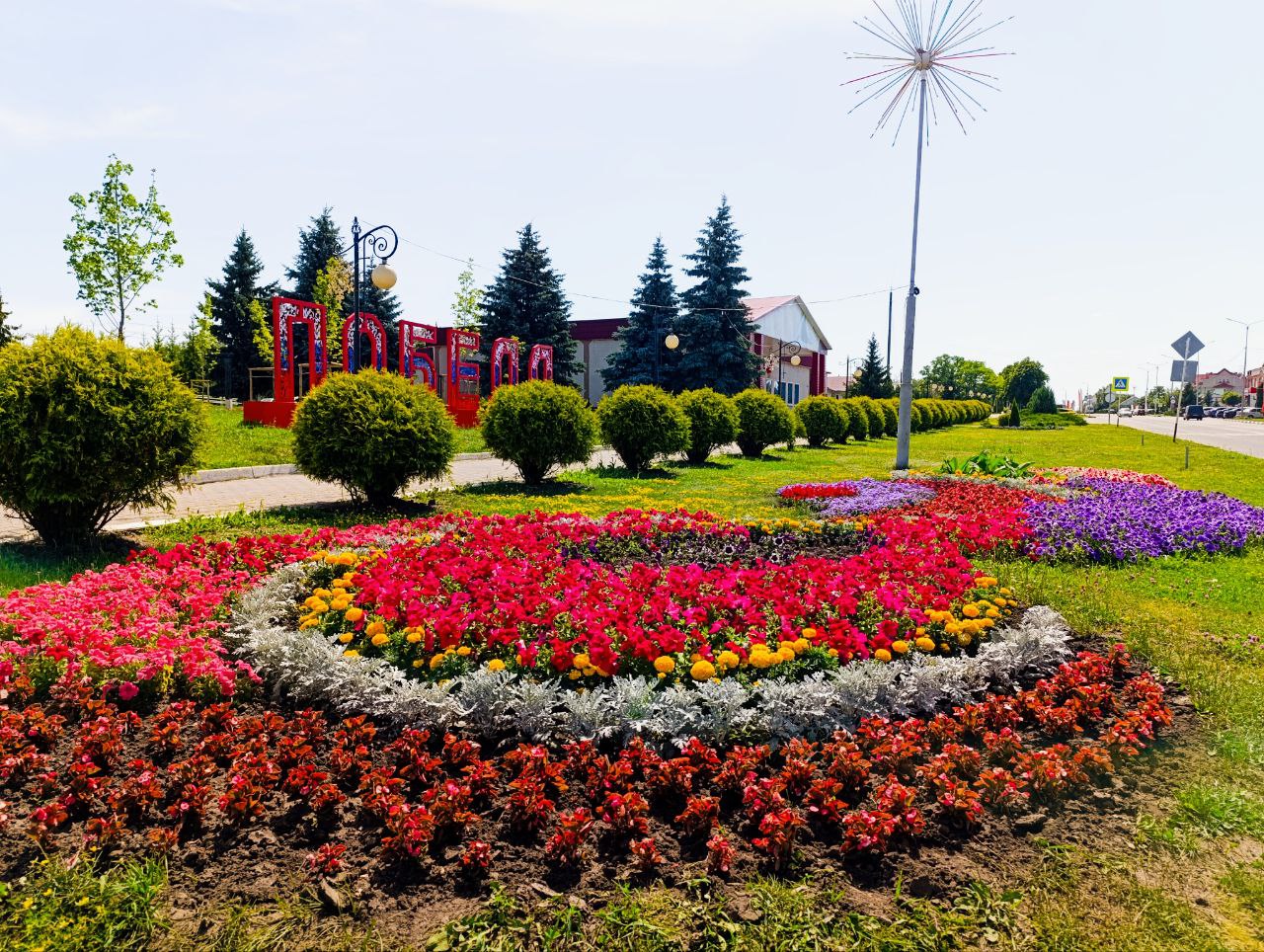 Клумбы района радуют жителей и гостей обилием и разнообразием цветочных культур.