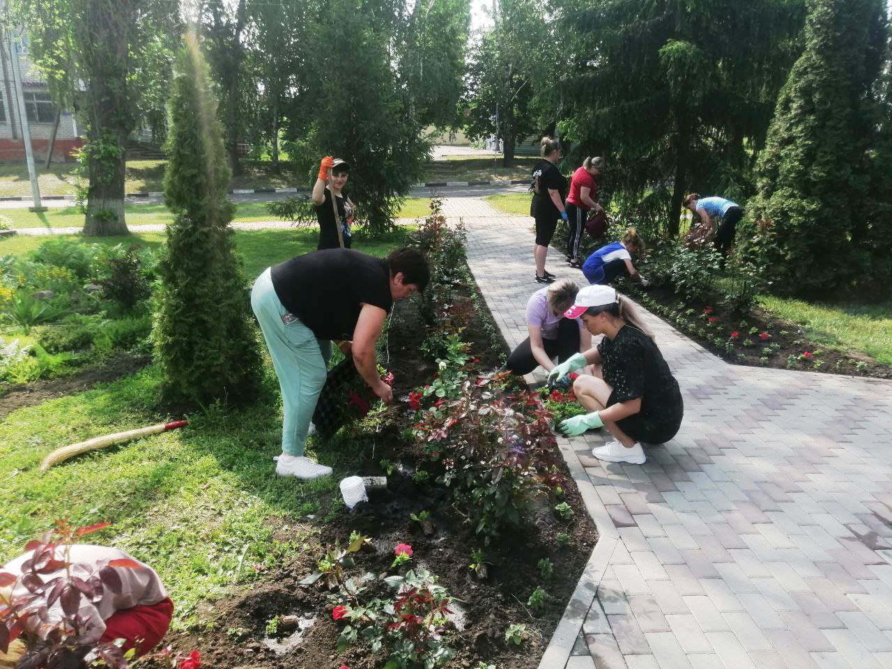 Работники Краснояружского зеленстроя и поселковой администрации облагораживают облик районного центра.