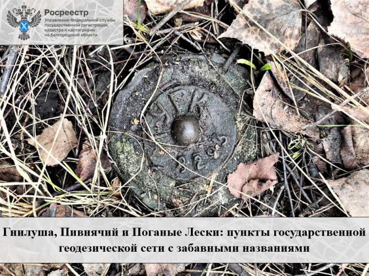 Гнилуша, Пивнячий и Поганые Лески: пункты государственной геодезической сети с забавными названиями. Гнилуша, Пивнячий и Поганые Лески: пункты государственной геодезической сети с забавными названиями.