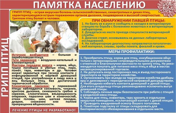 ВНИМАНИЕ, ГРИПП ПТИЦ!. ВНИМАНИЕ, ГРИПП ПТИЦ!.