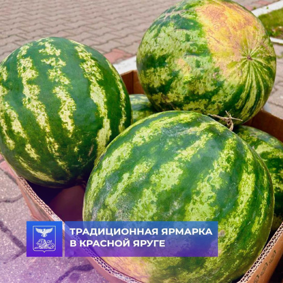 Традиционно каждый четверг в Красной Яруге проходит продовольственная ярмарка. Традиционно каждый четверг в Красной Яруге проходит продовольственная ярмарка.