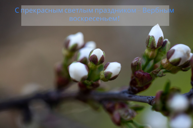 Уважаемые жители Краснояружского района!. Уважаемые жители Краснояружского района!.
