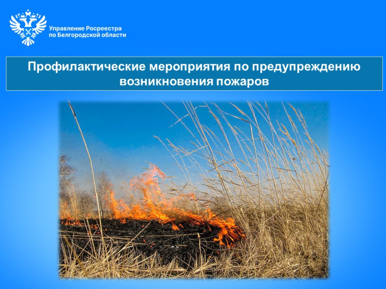 Профилактические мероприятия по предупреждению возникновения пожаров. Профилактические мероприятия по предупреждению возникновения пожаров.