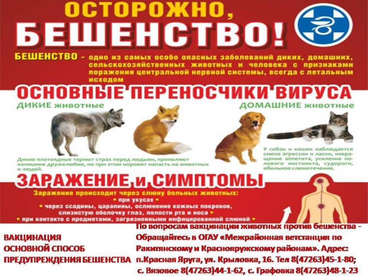 Осторожно, бешенство!. Осторожно, бешенство!.