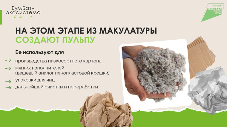 Масштабная акция по сбору макулатуры «БумБатл».
